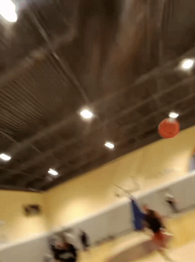 The ProCam™ POV Camera